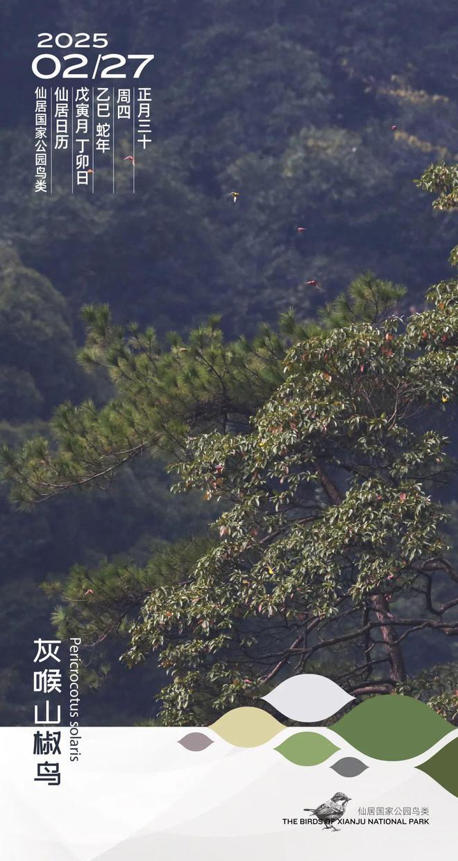 im电竞实干争先2025丨看仙居控股、县经发集团如何乘势而上启新程！(图3)