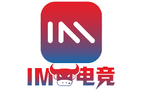 案例展示四